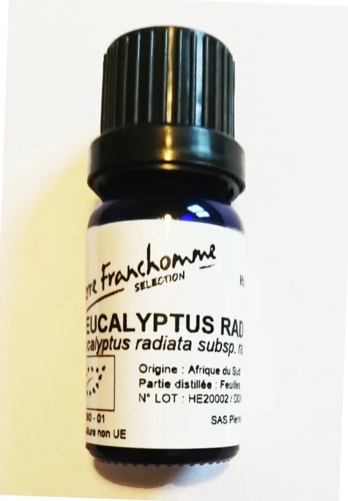 #Eucalyptus radié BIO 10 ml