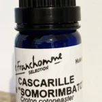 CASCARILLE DITE "SOMORIMBATO" 10 ML2