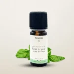 Basilic tropical Bio 10 ml