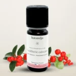 Gaulthérie odorante bio 10 ml