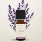 Lavande aspic Bio 10 ml