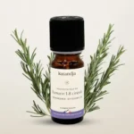 Romarin à cinéole Bio 10 ml