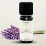 Lavande fine bio 10 ml