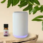 Diffuseur par nébulisation Movisia V2