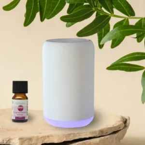 Diffuseur par nébulisation Movisia V2