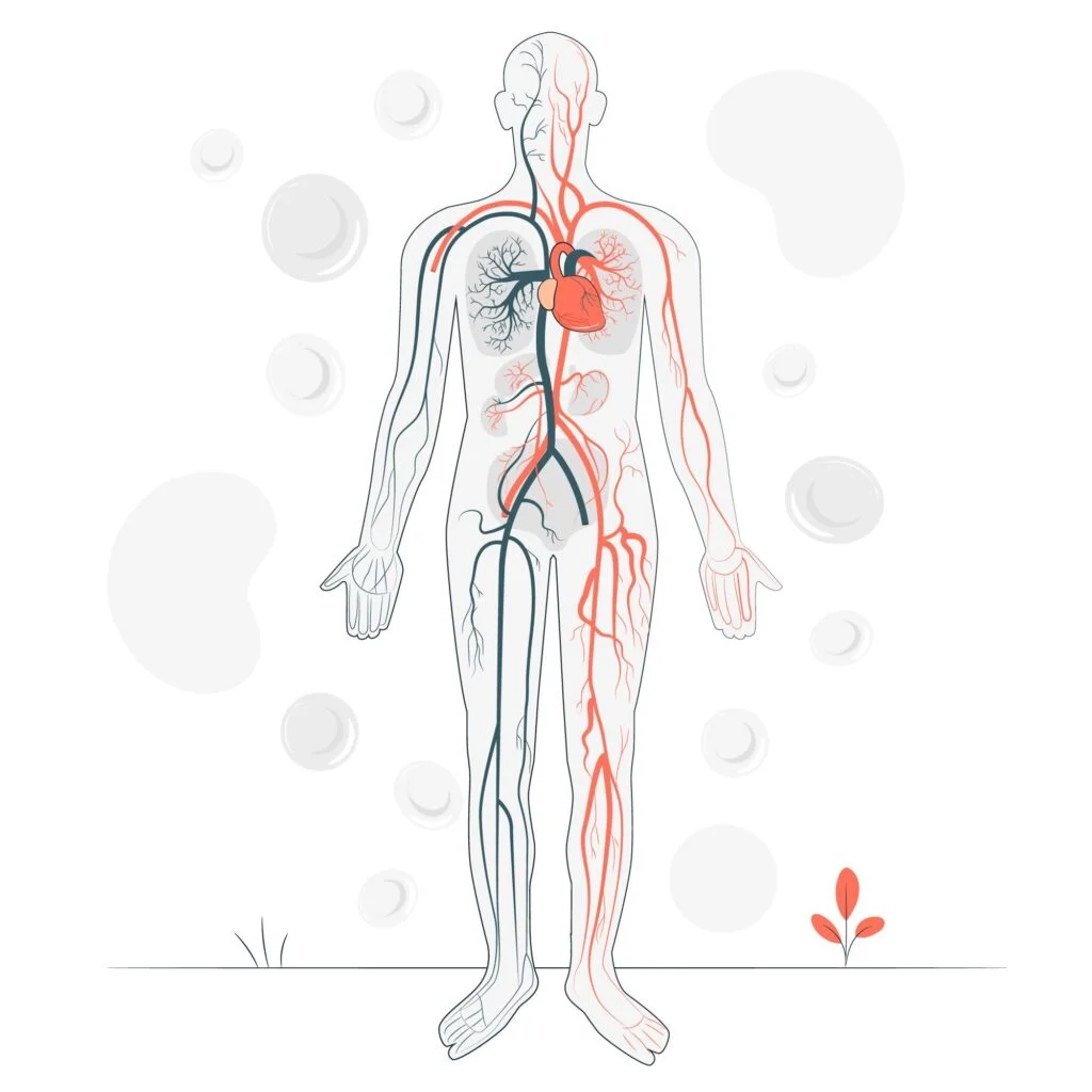 naturopathe corps humain