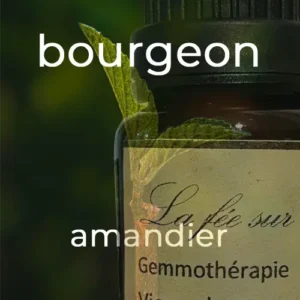 Gemmothérapie bourgeon d'amandier