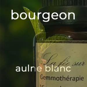Gemmothérapie bourgeon d'aulne blanc