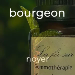 Gemmothérapie bourgeon de noyer
