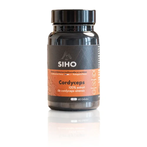 Myco – Cure de 3 mois Cordyceps