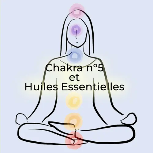 Chakra n°5 expression et communication