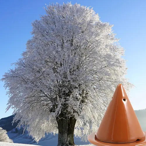 Kit hiver poudre de cade