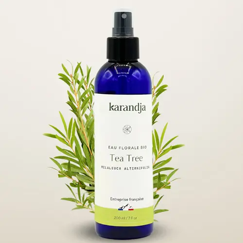 Hydrolat d'arbre à thé (tea tree) Bio 200 ml