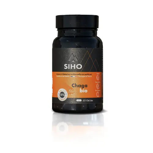 Mycothérapie : chaga Bio 60 gélules
