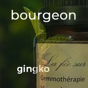 Macérat de bourgeons de gingko 15 ml