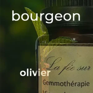 Macérat de bourgeon d'olivier 15 ml