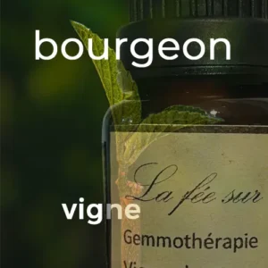 Macérat de bourgeon de vigne 15 ml