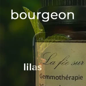 Macérat de bourgeons de lilas