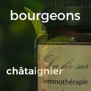 Macérat de bourgeons de Châtaignier 15 ml