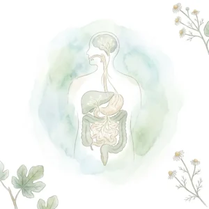 Microbiote et barrière intestinale