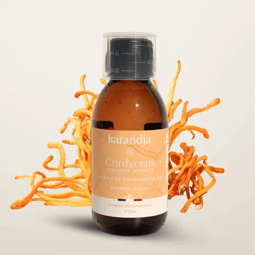 Mycothérapie : Cordyceps Bio 150 ml