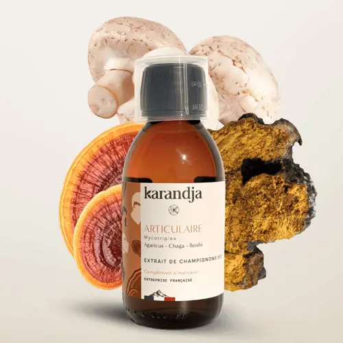 Mycotriplex Articulaire Bio 150 ml